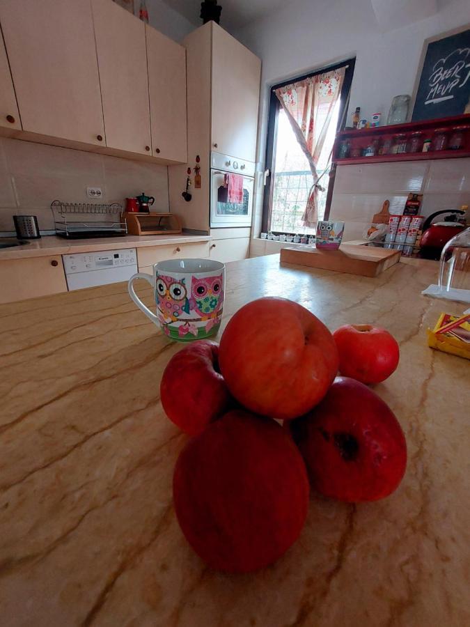 Impeccable Apartment With View In Dolna Matka 스코페 외부 사진